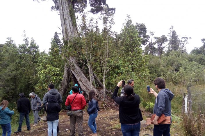 Carretera Austral / Hornopiren