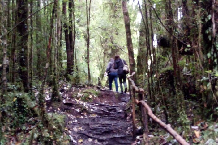 Carretera Austral / Hornopiren