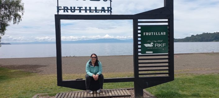 Frutillar - Llanquihue y Puerto Octay