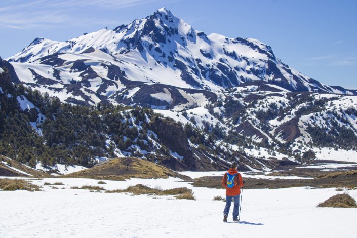 Trekking Paso Desolación